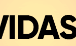 THINK-CAMARA-IVINHEMA-fullbanner-agosto—animais—728x90px (1)
